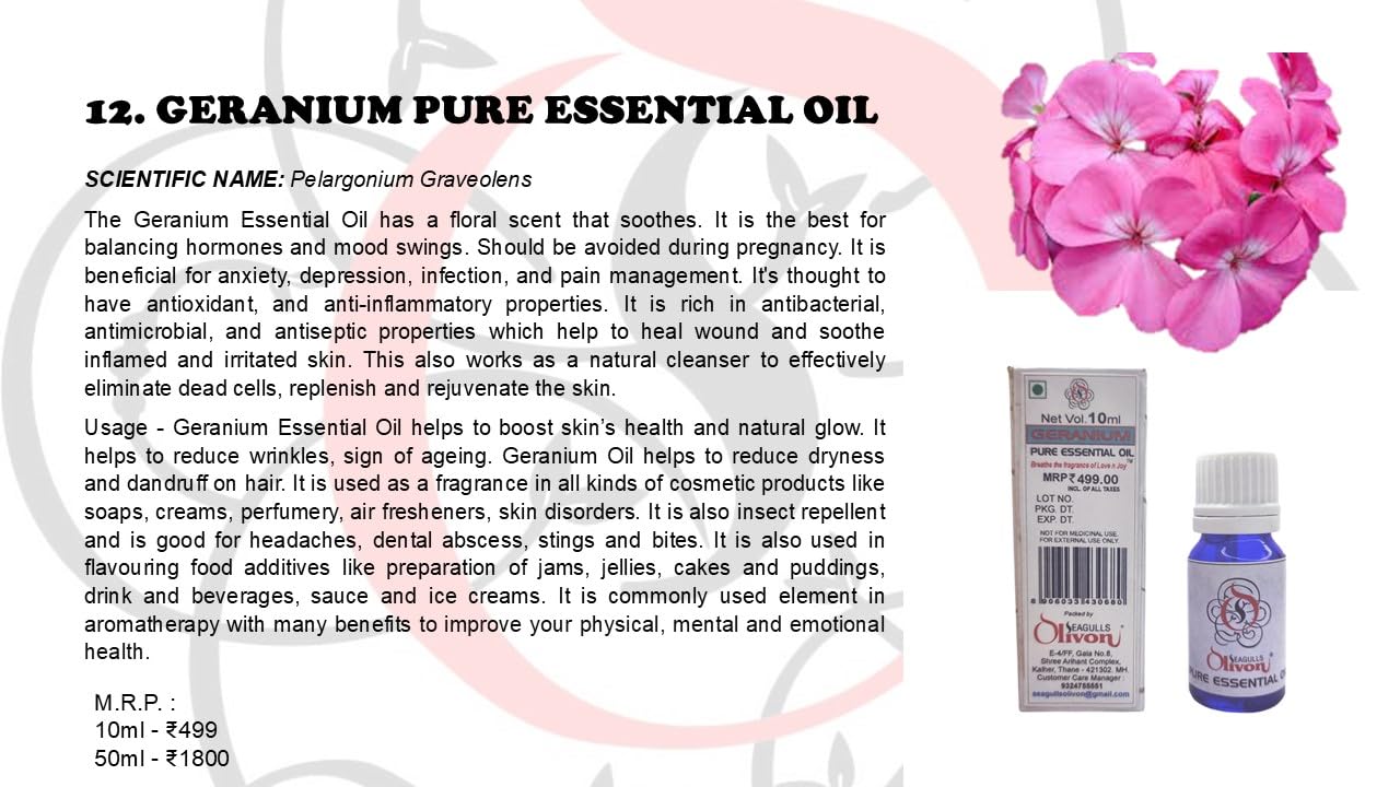 Geranium Oil Pure Essential Oil | 10ml
